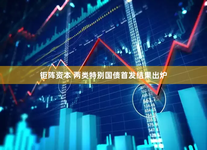 钜阵资本 两类特别国债首发结果出炉